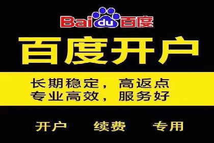 SEM推广竞价托管成功案例解析